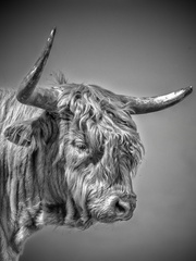  DJP5477-bewerkt-bewerkt